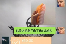 乐平融资清欠服务